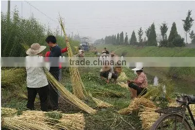 2016 food fruit flowers clothes store willow basket