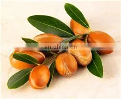 full automatic WALNU/LONGEVITY FRUITS oil/fat/grease extractor