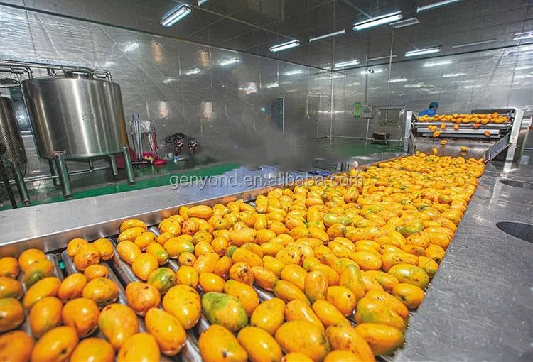 Fully Automatic Fresh mango Processing Machine for Puree Juice