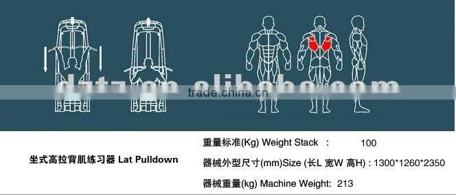 gym body building equipment /best selling/TZ-6020 Lat Pulldown