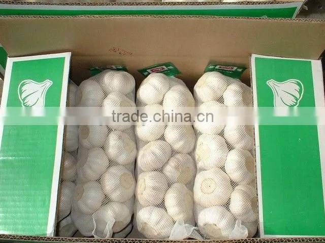 High Quality 2015 New Crop Natural Garlics