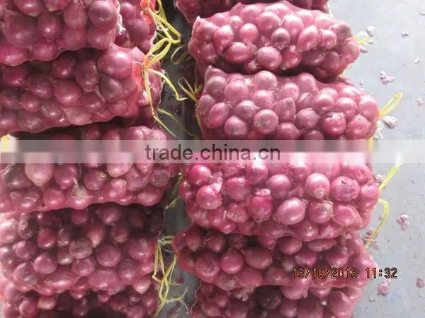 Fresh Red Onion