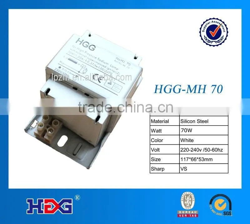 1000 watt ballast (magnetic ballast for 70w Metal Halide lamp
