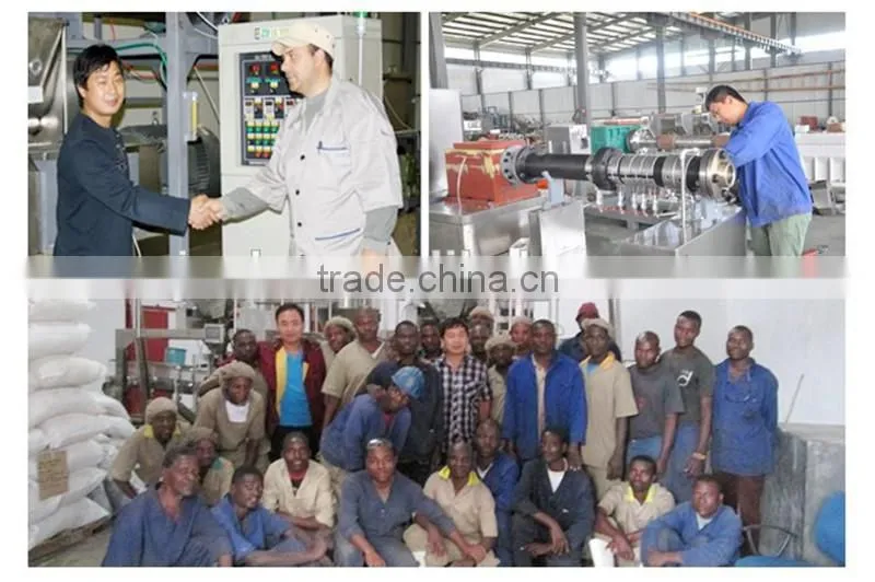 High technology modified starch equipment