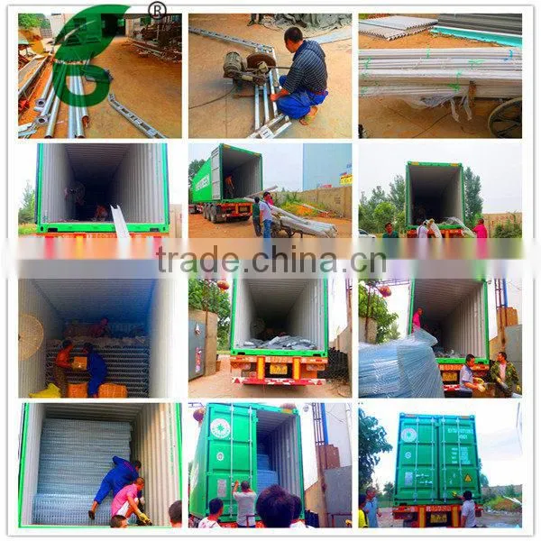 poultry farm automatic drinking system feeding system for 10000 chickens