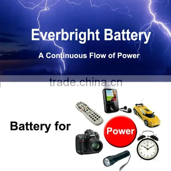 primary um3 aa r6 1.5v battery for southeast countries