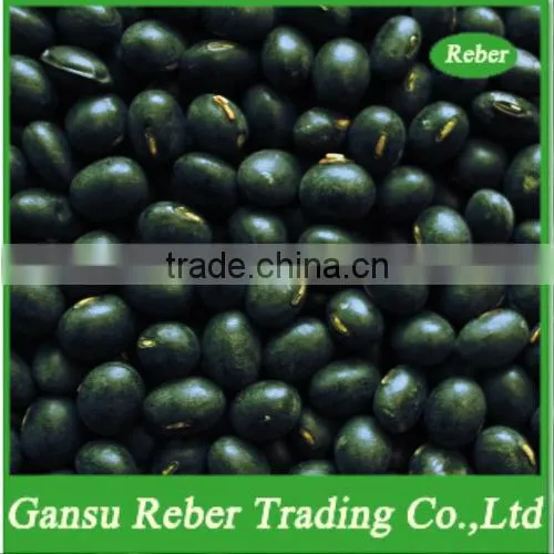 Small Black Kidney Beans