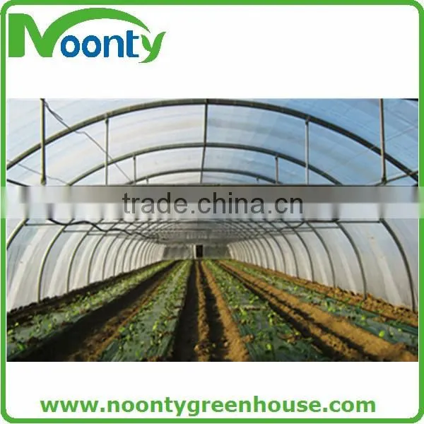 Economical Tunnel Greenhouse