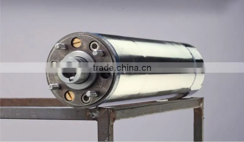 Submersible Motors