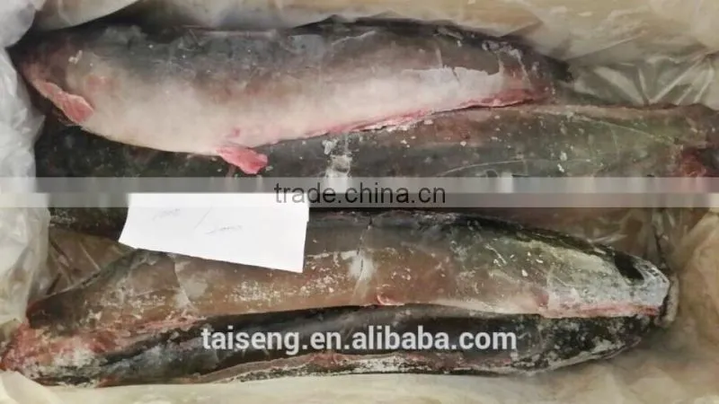 Frozen Catfish Whole Round