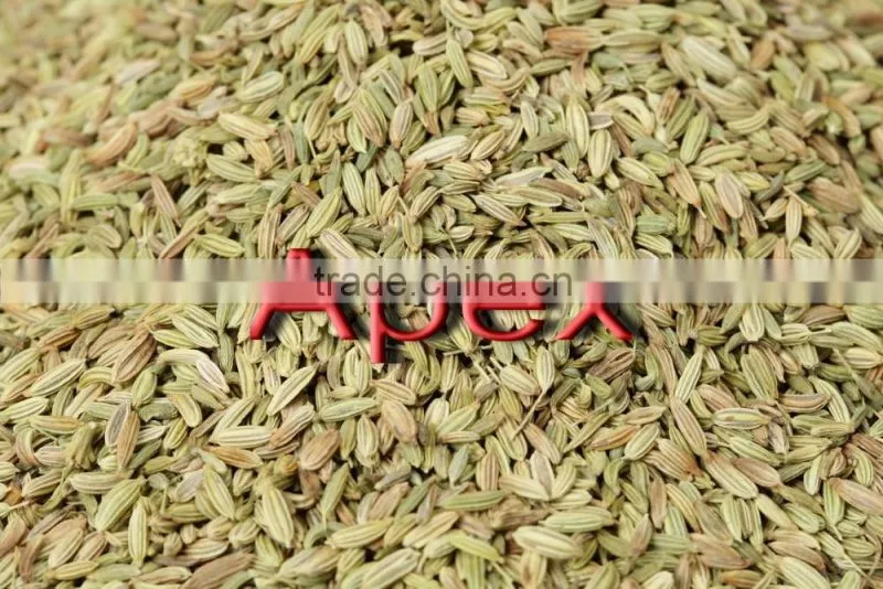 Dried Fennel seed