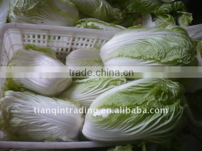 cabbage