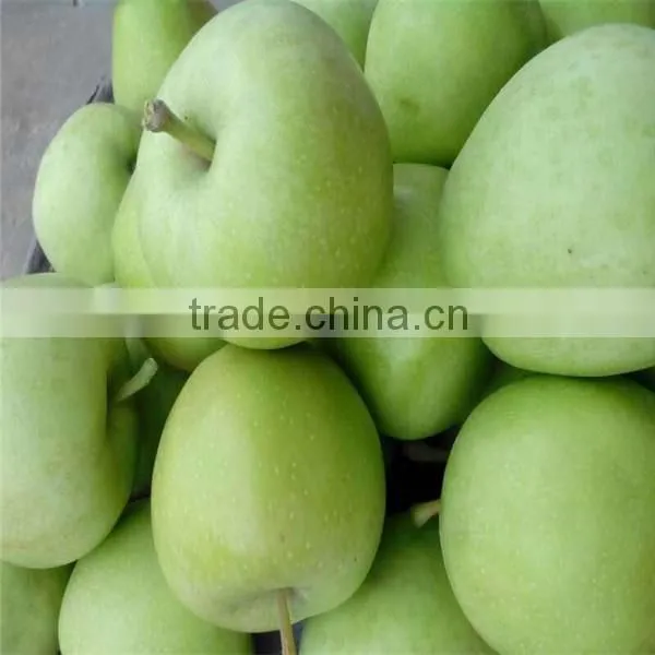 Fresh Green Apples