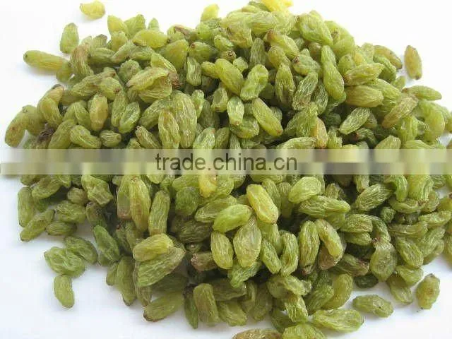 clean Xinjiang origin 80 %green raisin to sale