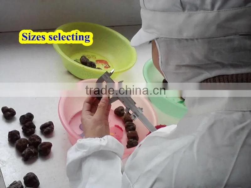 frozen whole truffle