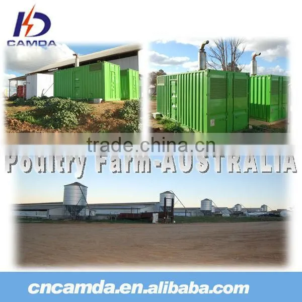 500KW/1MW New Energy Waste Biomass Power Plant/Biogas Generation Project