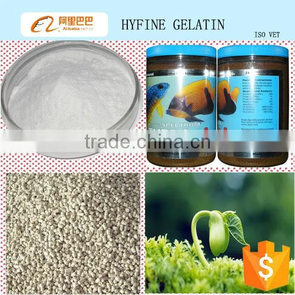 High quality hydrolyzed bovine Collagen powder for animal feed