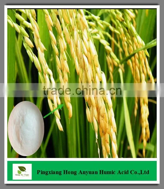 13-0-46 KNO3 fertilizer grade 99.4% potassium nitrate