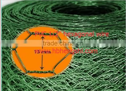 Hexagonal Mesh/Hexagonal Wire Mesh