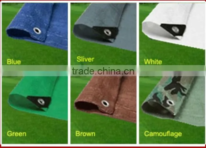 Hot sales PE/PP/PVC tarpaulin