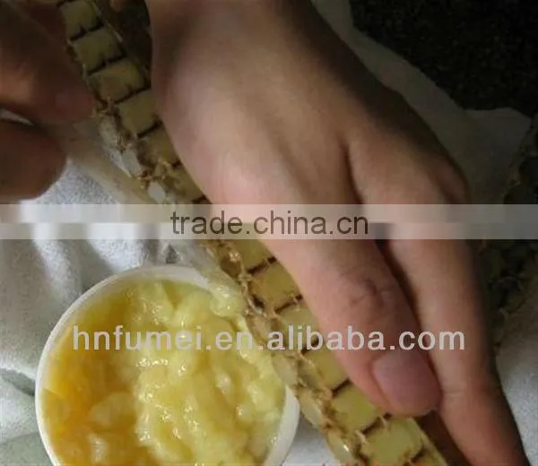 antibotic free high quality lyophiled royal jelly powder