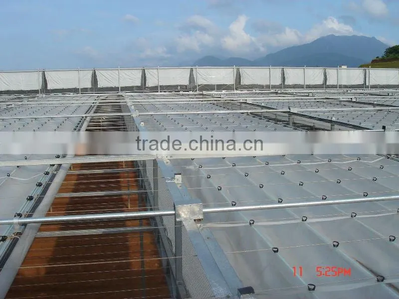 Cheap greenhouse plastic