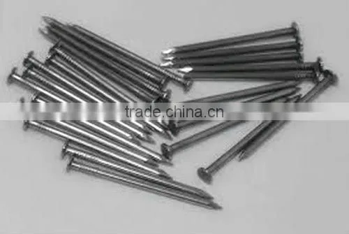 Salable Umbrella Head Roofing nails Best Quality and Professional Factory