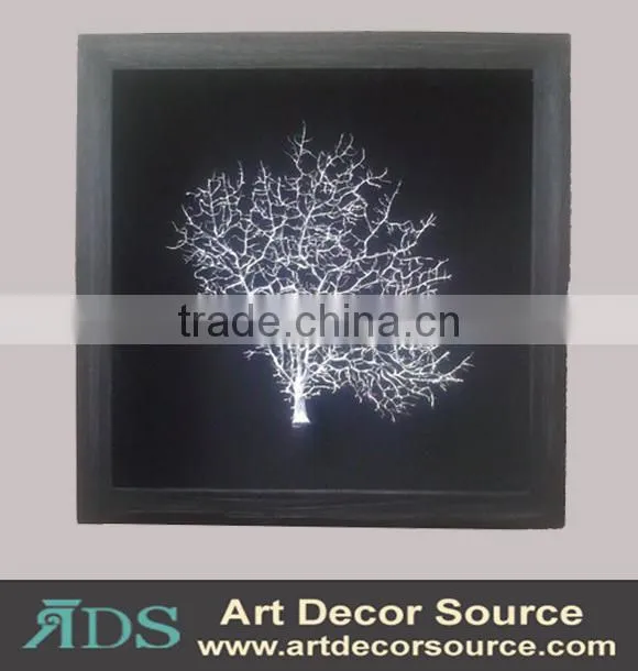 Marine Plants in Shadow Box Frame