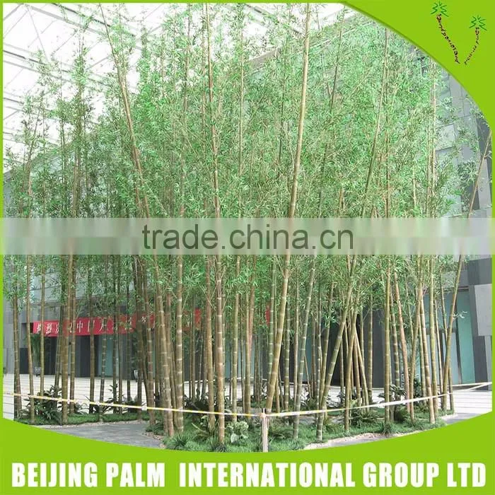 Hot Fashion Artificial Bonsaiartificial Plant
