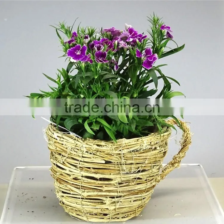 Cup Shape Natural Rattan Garden Flower Pot with Handle for Planting