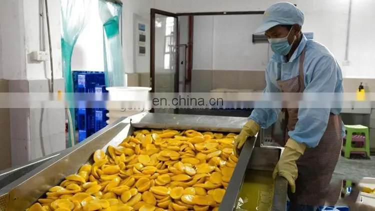 Shanghai Genyond mango processing machine for dry chips