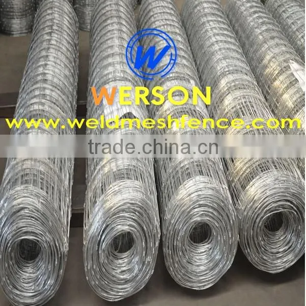 150/12/15 hot dipped galvanized Hog Wires | werson fence