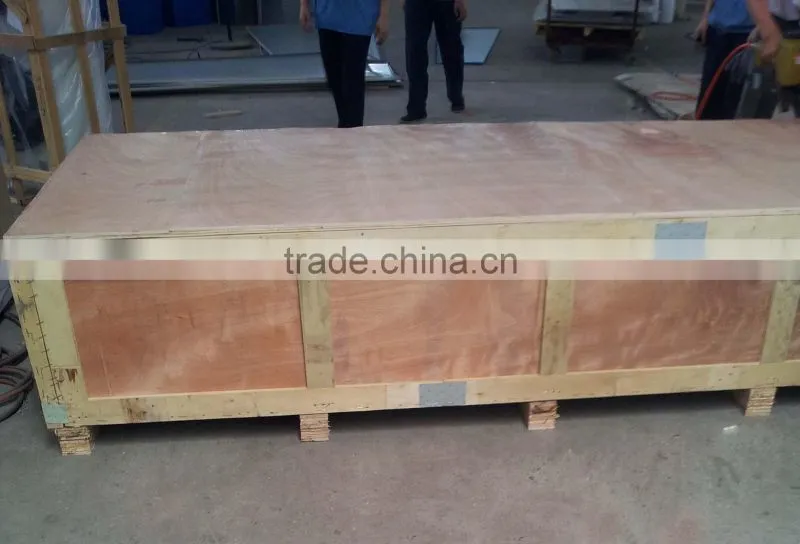Cold storage electric sliding door