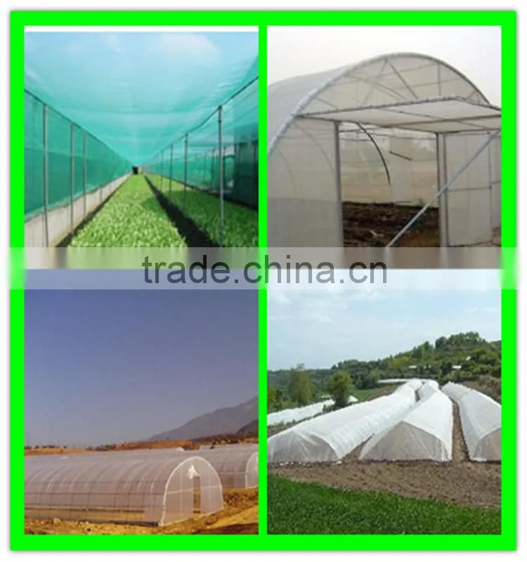 virgin hdpe cultivation anti-insect netting