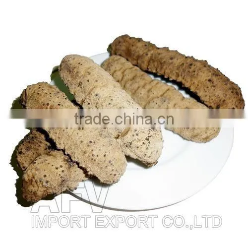 Dried Sea Cucumber Vietnam, Curry Fish, Stichopus Hermanni