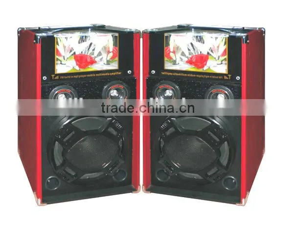 Beautiful cheap woofer speaker wireless mic