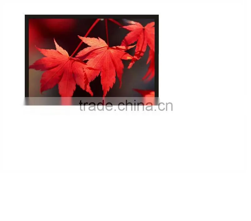 Fixed frame projection screen with velvet frame