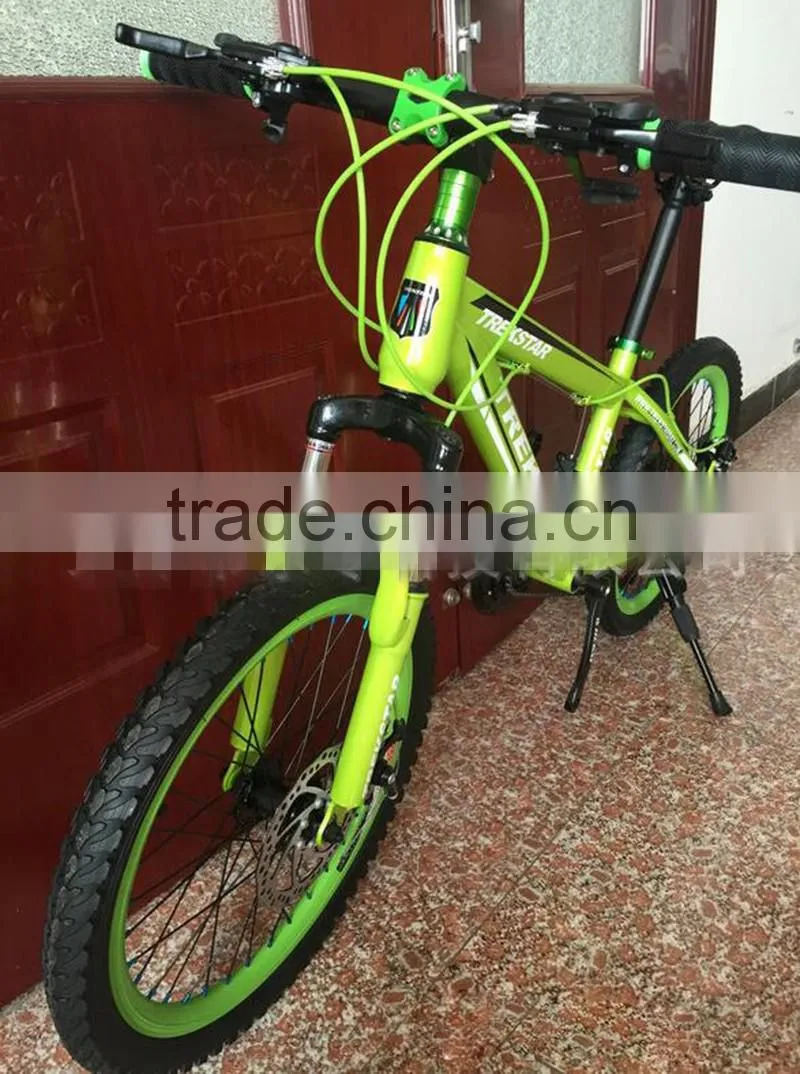 Bicycle Fashion Mini Bike MTB 10 Inches Sports Gear Steel Folding Bike Sell Like Hot Cakes