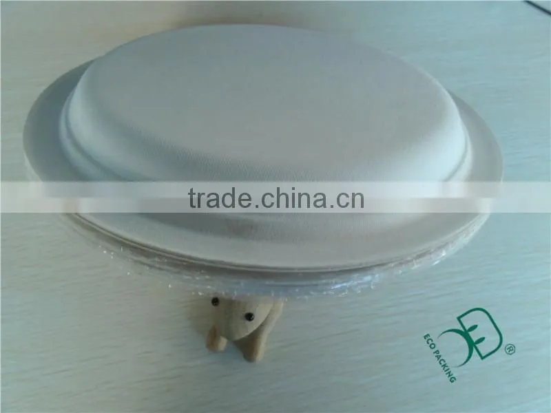 Paper disposable food serving trays for party