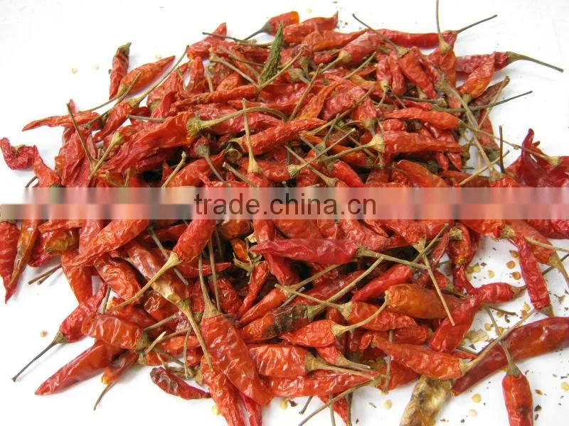 DRIED RED CHILLI