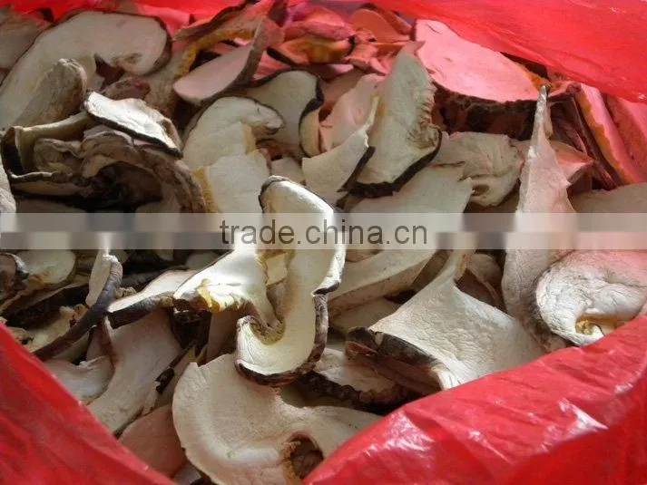 dry shitake slice dry whole shiitake cultivated mushroom