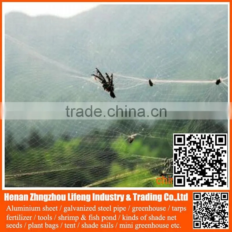 New arrival orchard grape HDPE anti bird netting , pe plastic knotted mesh bird netting
