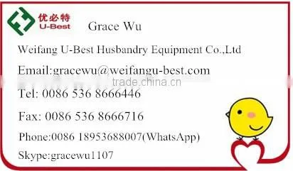automatic chicken farm supplies farm equipment chicken