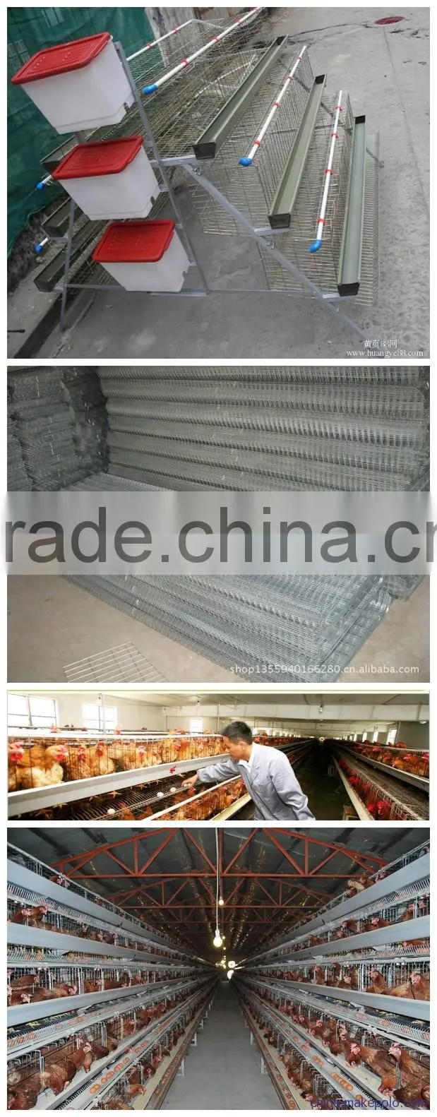 Agricultural equipment Stainless steel Bird cage Mesh chicken coop for laying hens for eggs