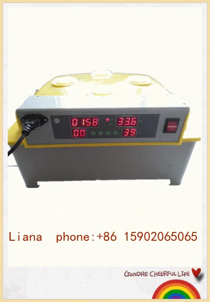 Vlais Mini egg incubators, fullly Automatic 48 Egg Incubator For Sale,chicken eggs incubator