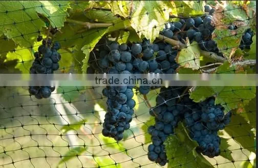width 2m, length 50m bird netting