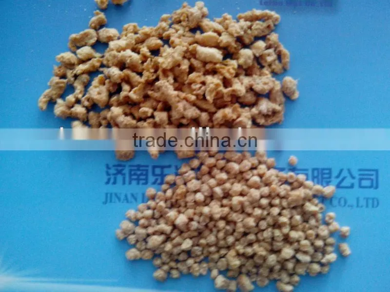 Fuji Part Machinet for Soya Protein Food