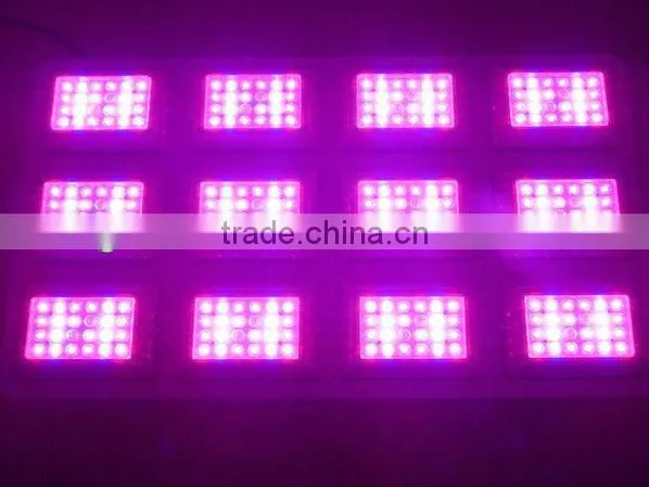 you can not miss the 800 W led lights for growing plants