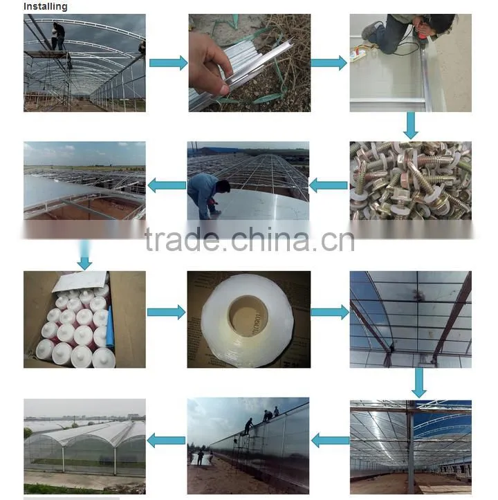 The Cheapest Agricultural/Commercial Glass greenhouse