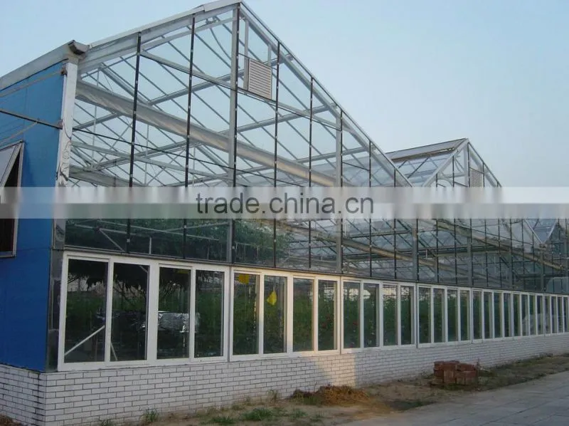 Galvanized steel structure glass cover used commercial greenhouses